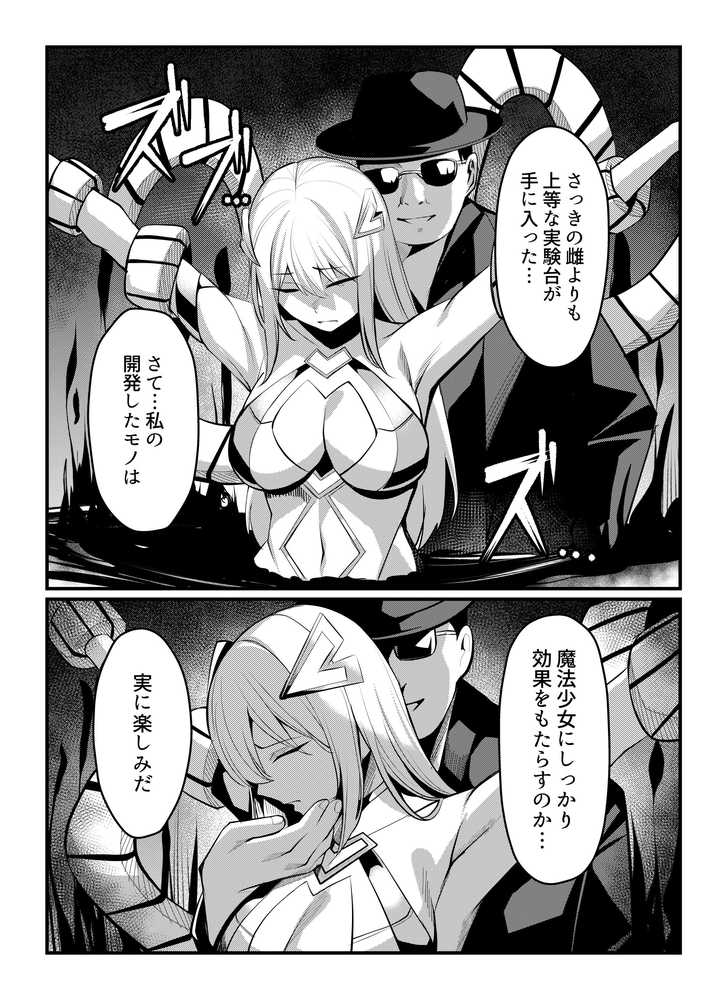 魔法少女セイントリリィ・戦乙女  〜敵組織に洗脳調教された魔法少女が性処理戦闘員に堕ちるまで〜
