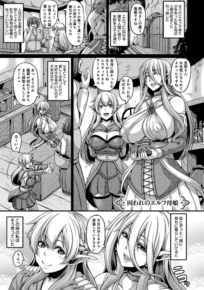 愛嬢の淫辱エルフ