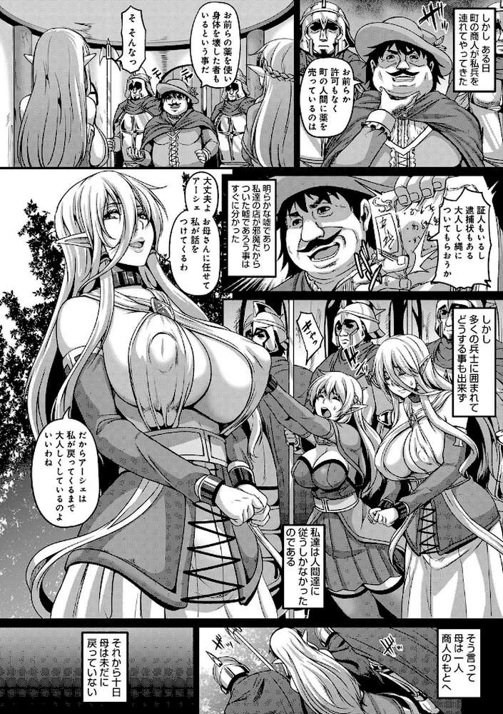 愛嬢の淫辱エルフ