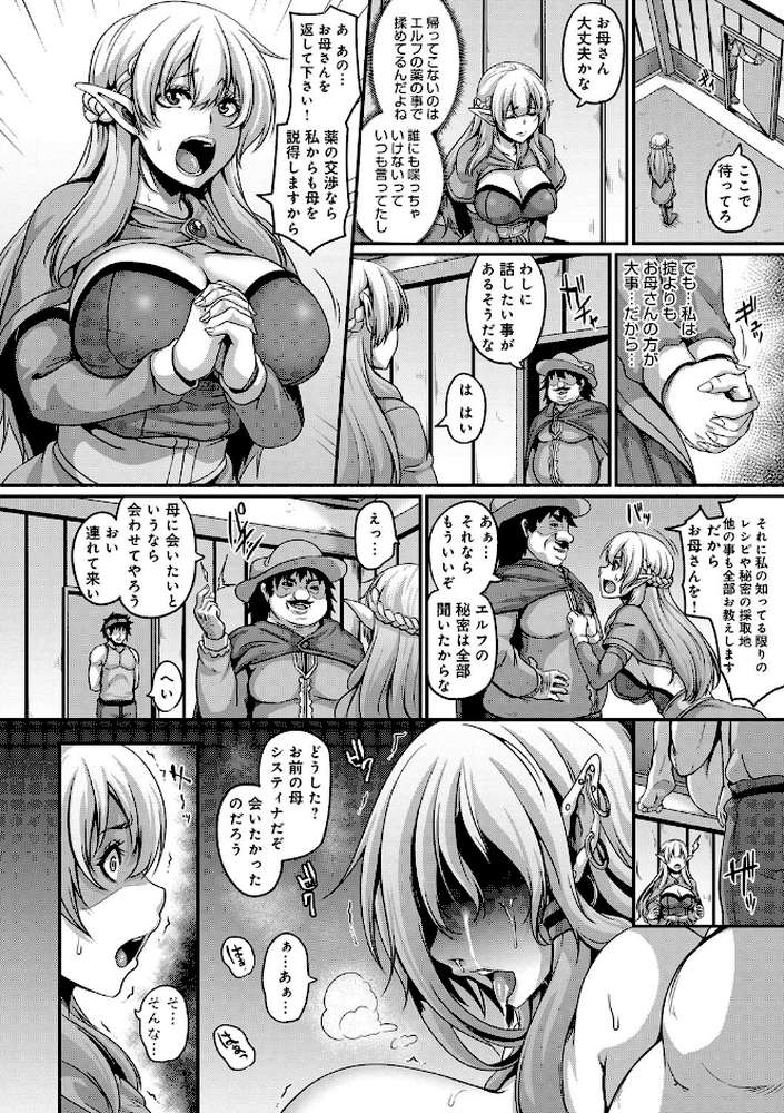 愛嬢の淫辱エルフ