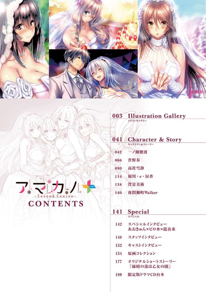 アマカノ〜Second Season〜＋（プラス）ビジュアルファンブック