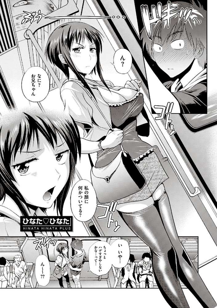 ひなた・ひなたplus 