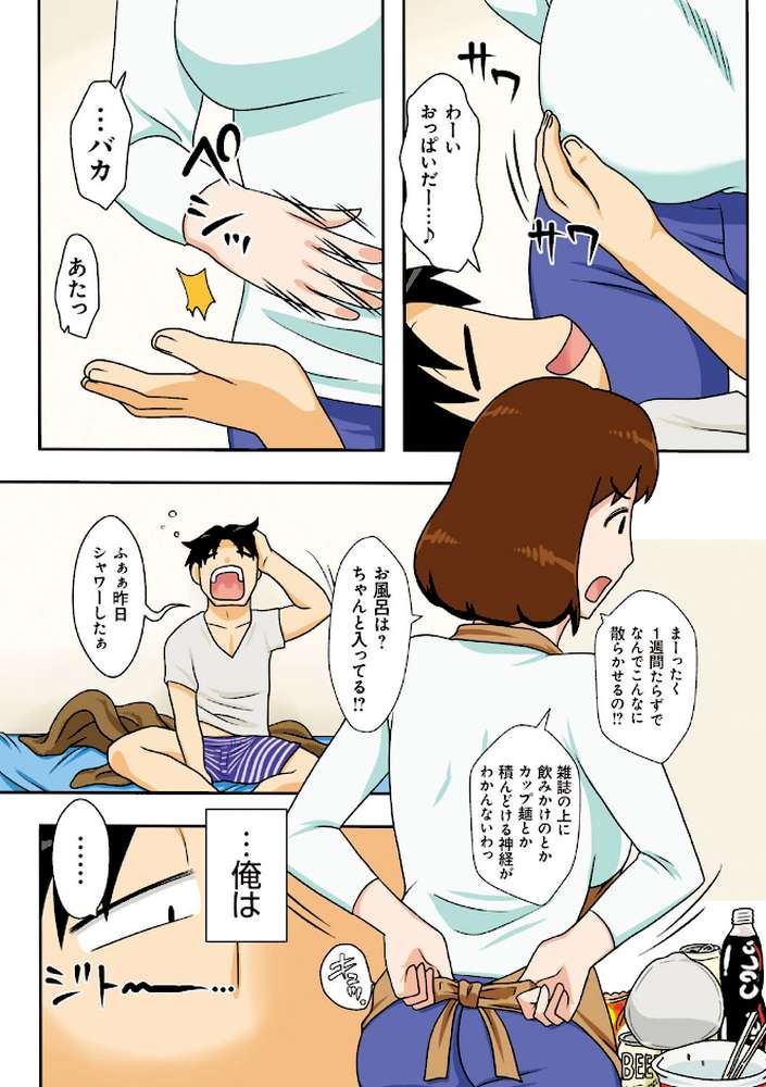 というわけで、母さん達とヤッてみた 