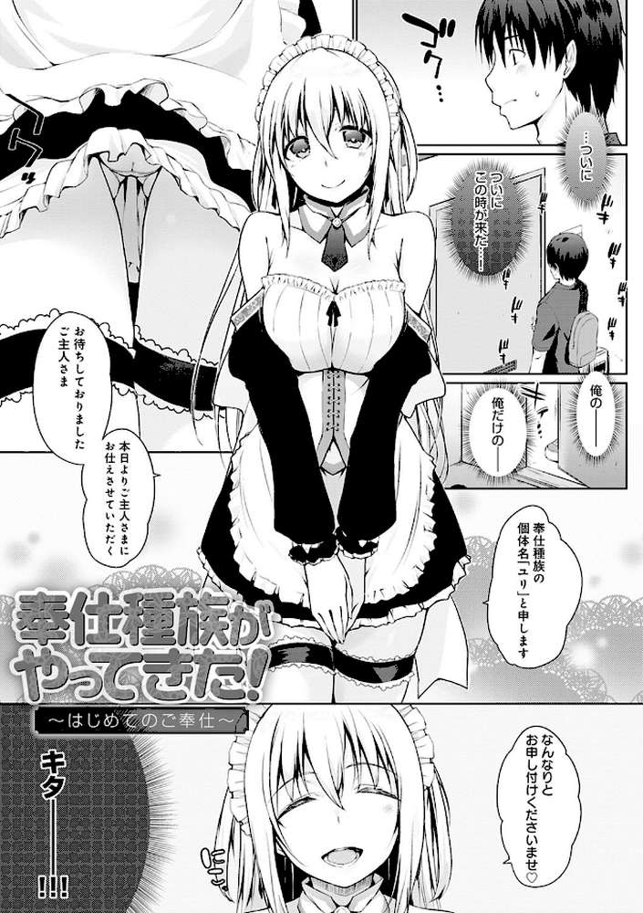 奉仕種族がやってきた！