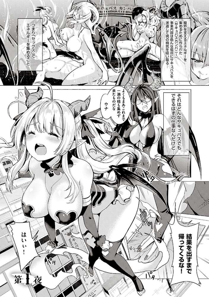サキュバスカンパニー 