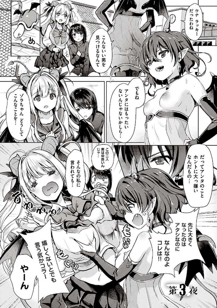 サキュバスカンパニー 