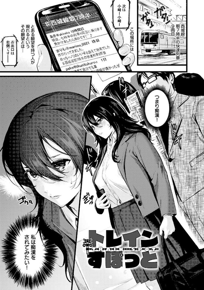 少女ふぉんでゅ