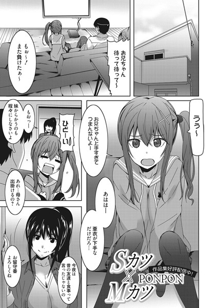 K219acawb00243pl
