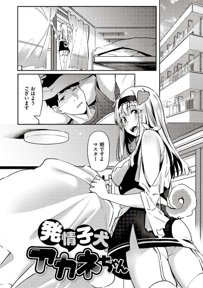 従順ナデシコ 