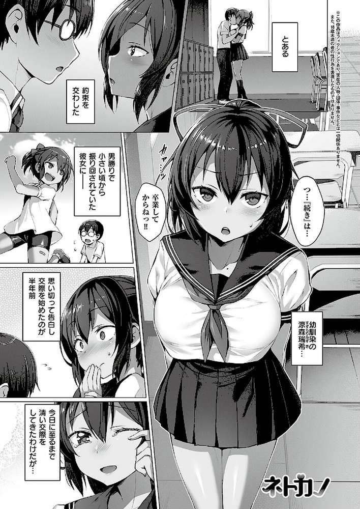 Corrupted party〜堕ちた乙女達〜 