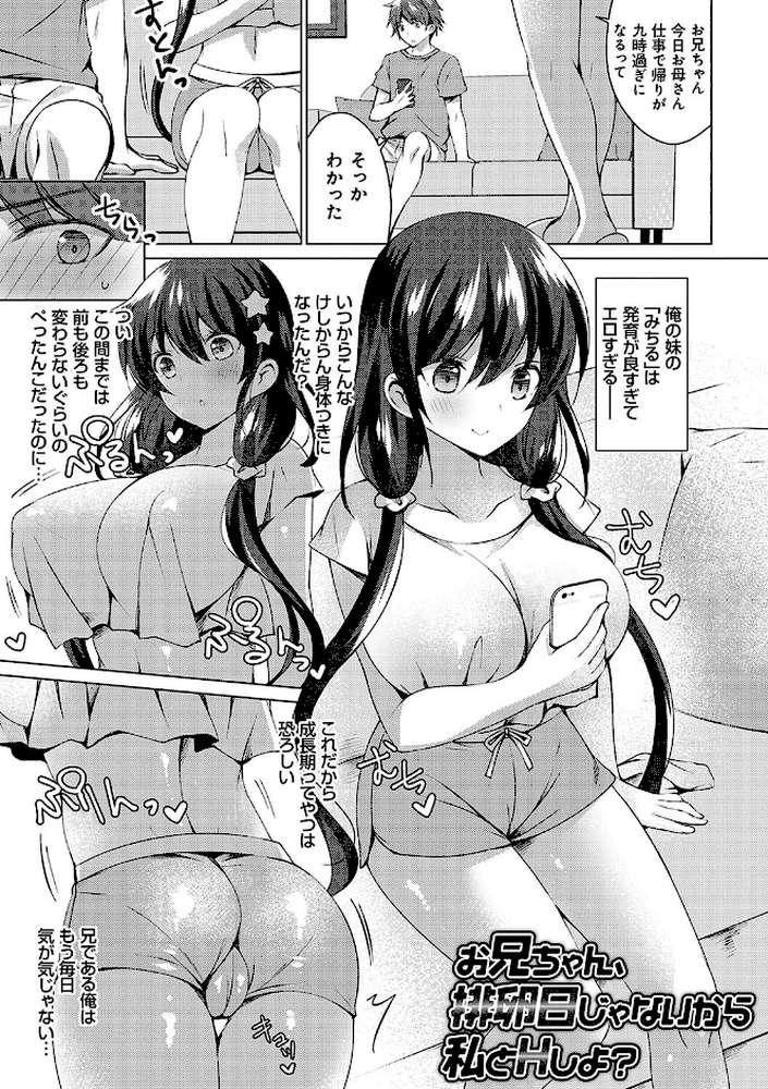 いもうとサンクチュアリ