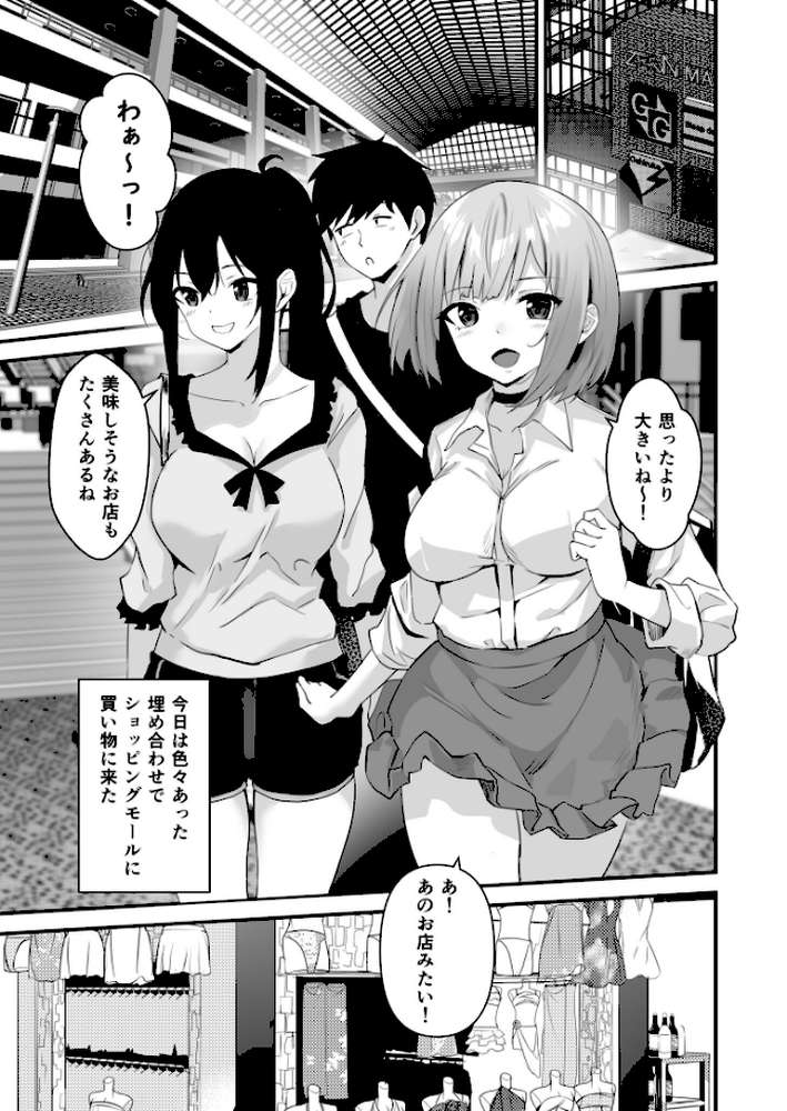 俺の姉ちゃんは宇宙で一番エロ可愛い（6）【18禁】