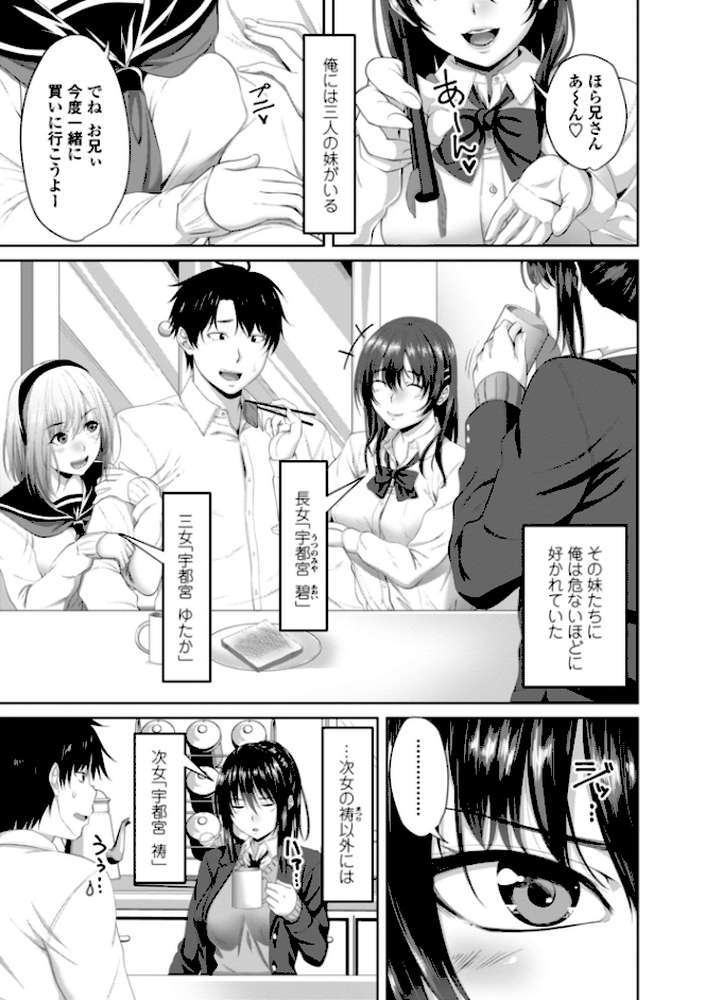 膣内射精（なかだし）シスター【特典付き限定版】