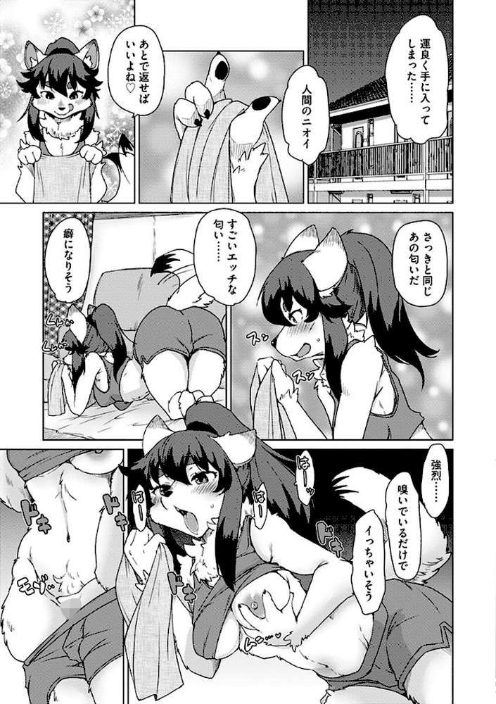 続・獣人アパート常春荘へようこそ！