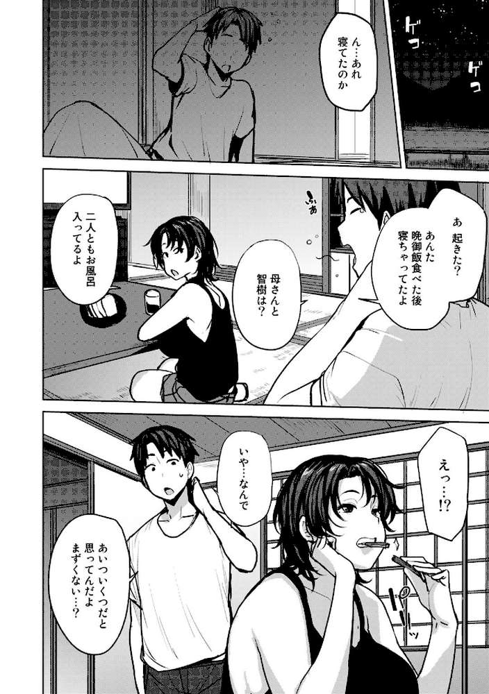 双母交姦日記 